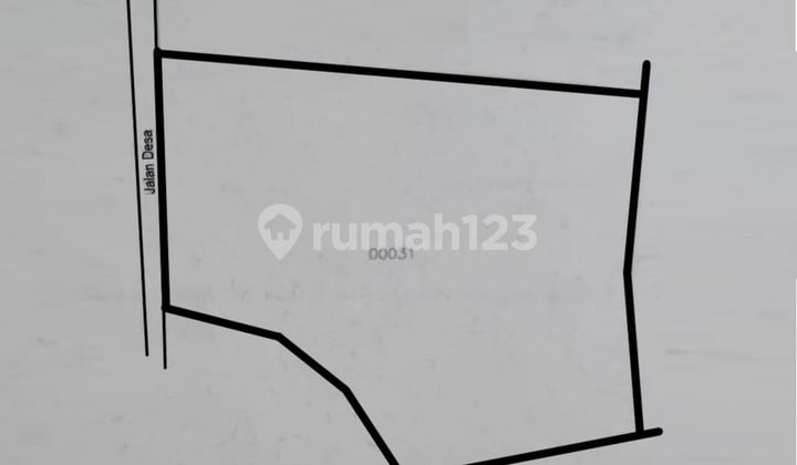 Kavling Lokasi di Daerah Rangkas Bitung, Kode 0040 Linsus