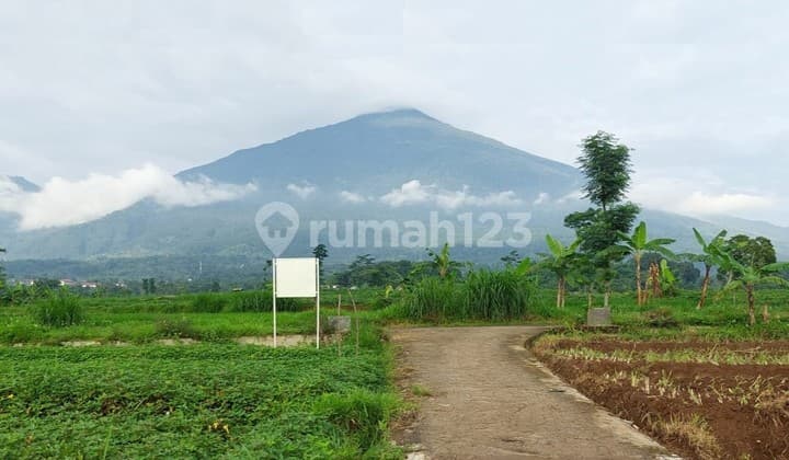 Kavling dijual lokasi asri daerah Kuningan JaBar, 0039 Gal