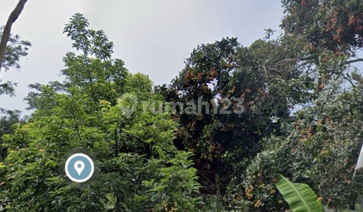 Tanah Luas Strategis & Murah, Belakang Citragrand Cibubur - SHM