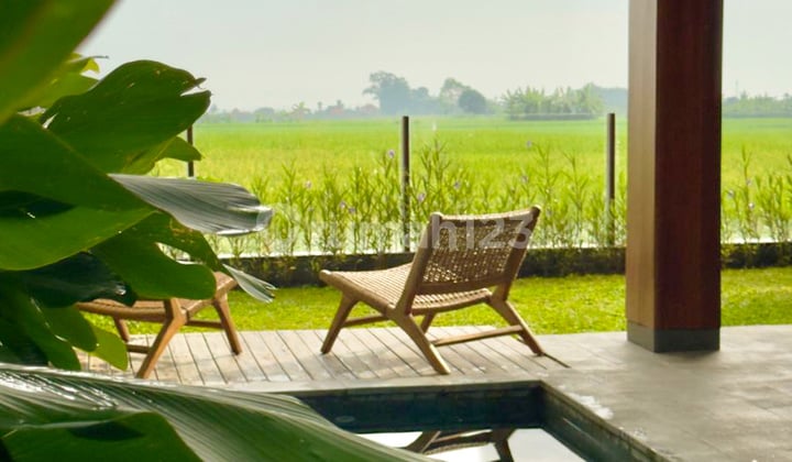 Modern Tropical 2 Bedrooms Villa With Ricefield View At Kedungu