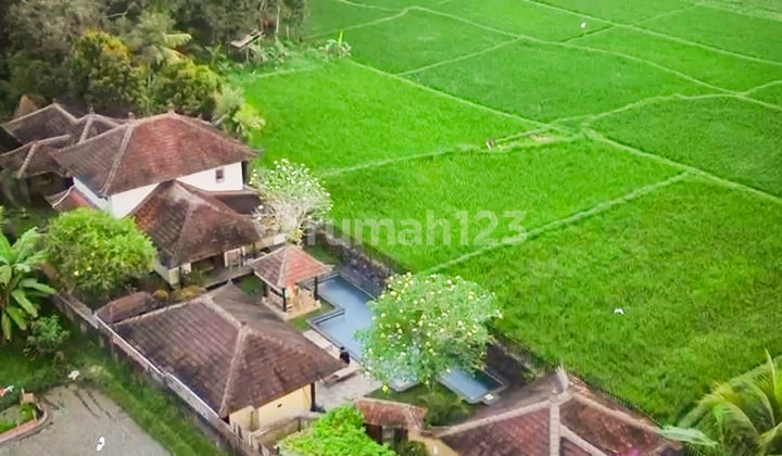 For Sale Modern Balinese Style Villa With Ricefield View At Ubud