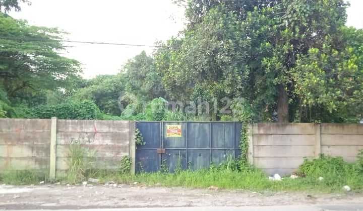 Dijual Kavling Dekat dengan BSD di Jalan Raya Kadusirung Tangerang