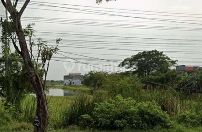 Land for Sale on Duduk Sampeyan Street, Gresik