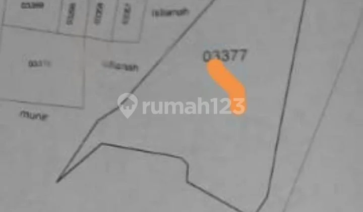 Dijual Tanah di Desa Sumber Tanggul Mojosari Dijual Tanah di Desa Sumber Tanggul Mojosari