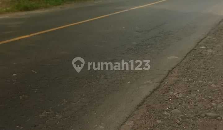 Land for Sale in Raya Domas, Menganti, Gresik