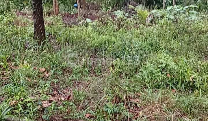 Murah Sangat Tanah Tanjung Pinang Uban