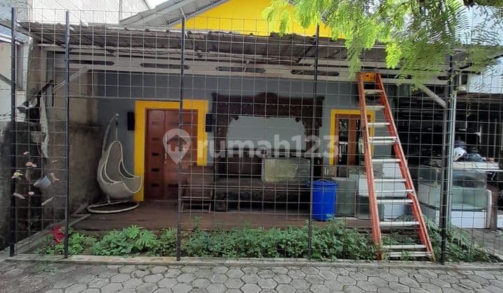 Rumah Mungil, Halaman Luas, Bonus Usaha Peternakan Ikan Discus
