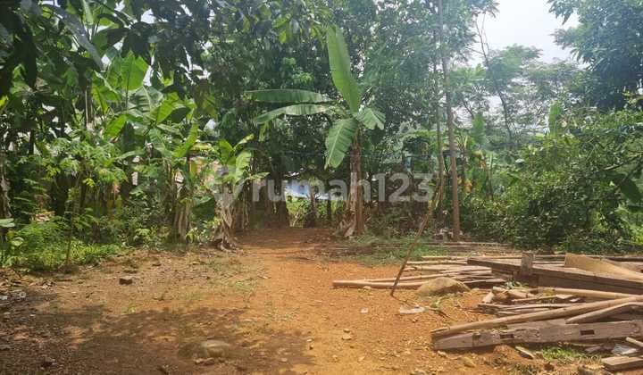 Tanah untuk Perkebunan