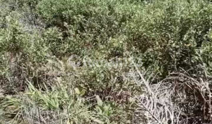 Kavling Permata Sentul