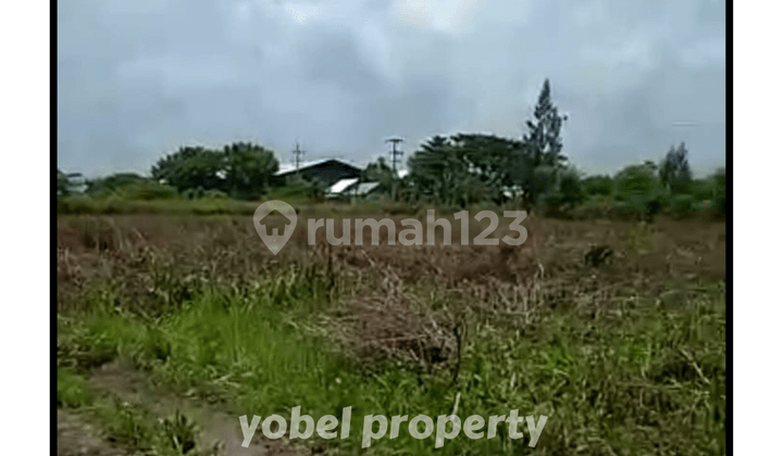 LARGE LAND SUITABLE FOR INDUSTRY IN TUBAN AREA