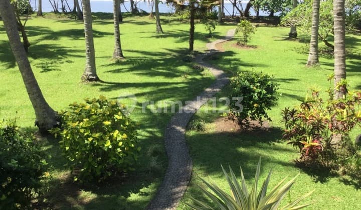 Jual Tanah DI Jembrana Bali Barat SHM 5600m2 (026)