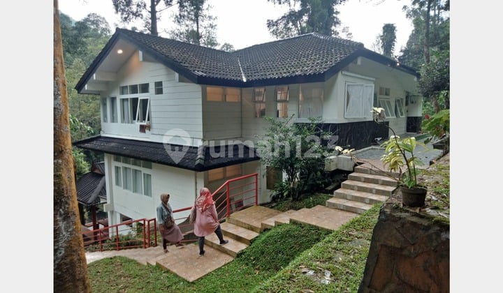 For Quick Sale Megamendung Villa - Shambala. Fully Furnished Villa (004)