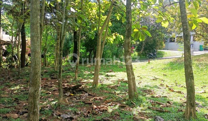 For Sale Certified Plots Sentul City Cluster Bogor
