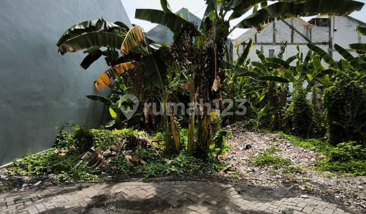 Tanah di Keputih Sukolilo Its Pakuwon City SHM Siap Jadi Kos