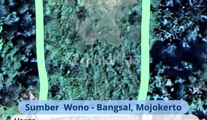 Tanah di Sumber Wono - Mojokerto DIJUAL SHM siap bangun