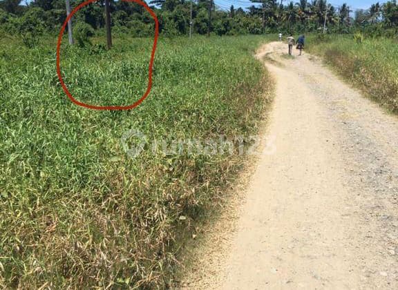 Kavling sHM Di Sorong Papua