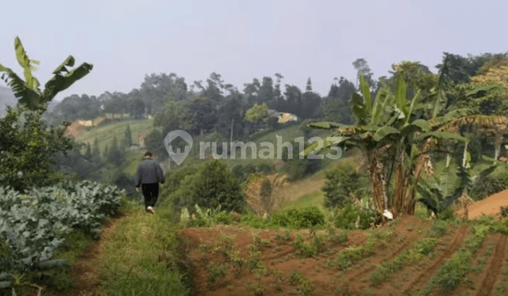 Tanah Kavling Dago Pakar Atas Ciburial Cimenyan Bandung