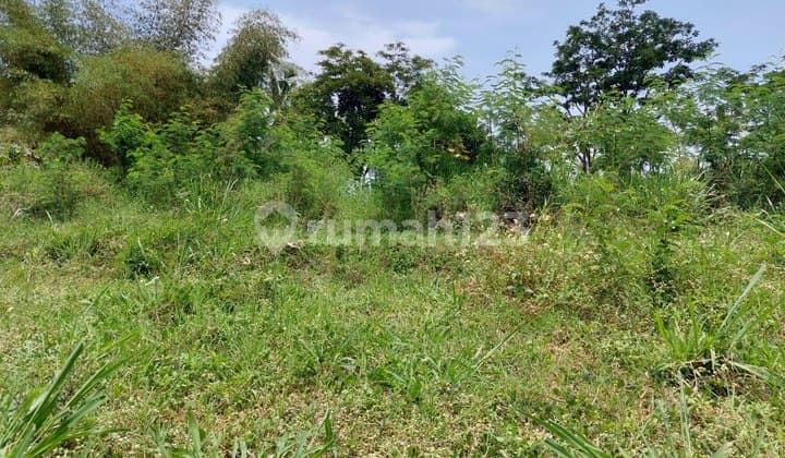 3 Kavling Siap Bangun Setraduta Grande Jalan Utama , Hadap Timur