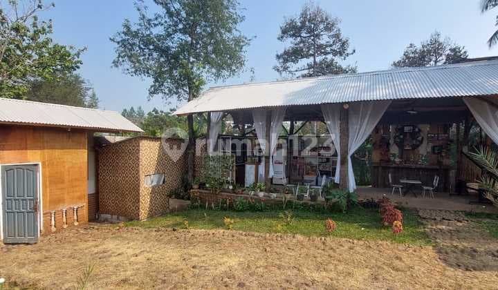 Dijual Cepat Villa Jauh Di Bawah Harga Pasaran, Harga Heran