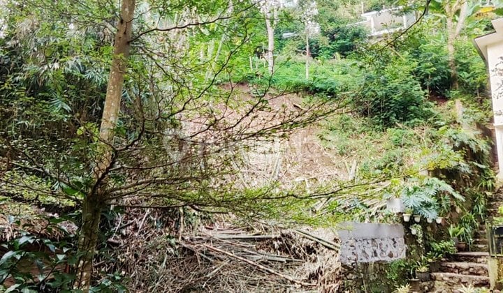 Dago Plot, Beautiful Environment, Fresh Air and Water
