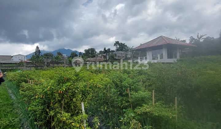 Disewakan Tanah di Mainroad Jl. Kol. Masturi, Lembang