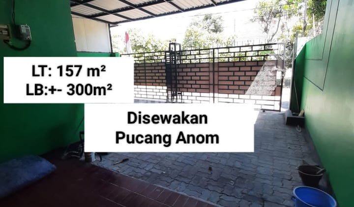 Disewakan Rumah Bebas Banjir di Pucang Anom (H Y)