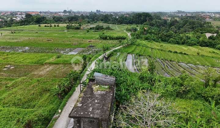 Dijual Tanah di Buwit Tabanan