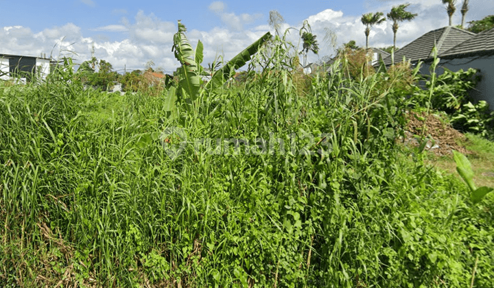 Tanah Dikontrakkan - Area Strategis Badung