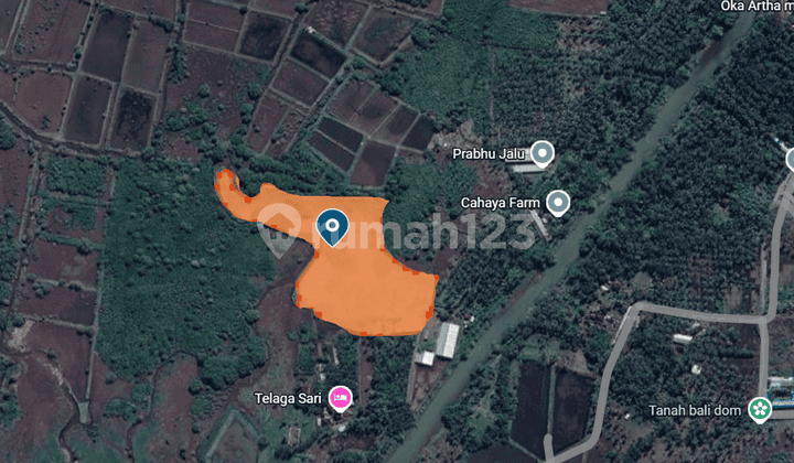 Dijual 1 Bidang Tanah - Kabupaten Jembrana