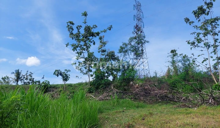 Dijual 1 Bidang Tanah Luas - Kabupaten Jembrana