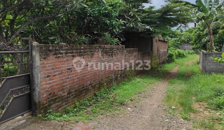 Land and Building for Sale, Area 1,835 M² in Buleleng Regency