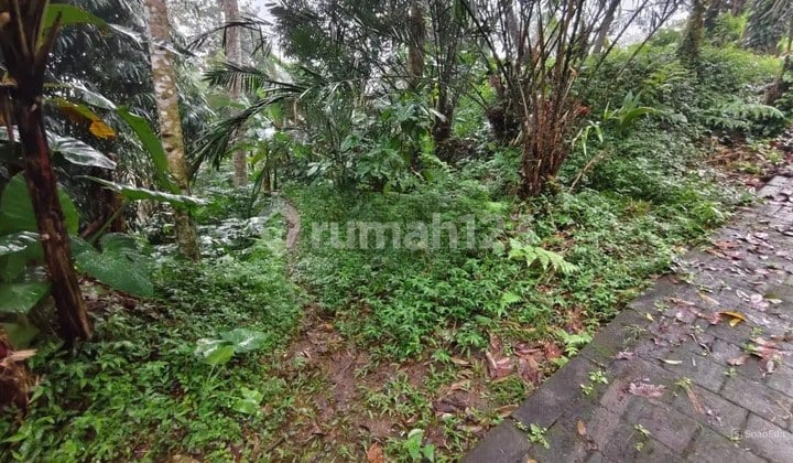 Dijual Tanah Luas 9.950 M2 Petang Badung