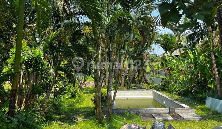 Disewakan Tanah - Lokasi Strategis Canggu