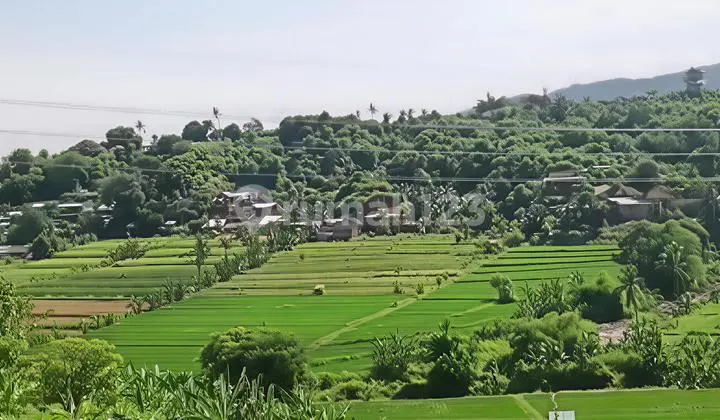 Land for Sale 57 Ares in Buleleng Strategic Location