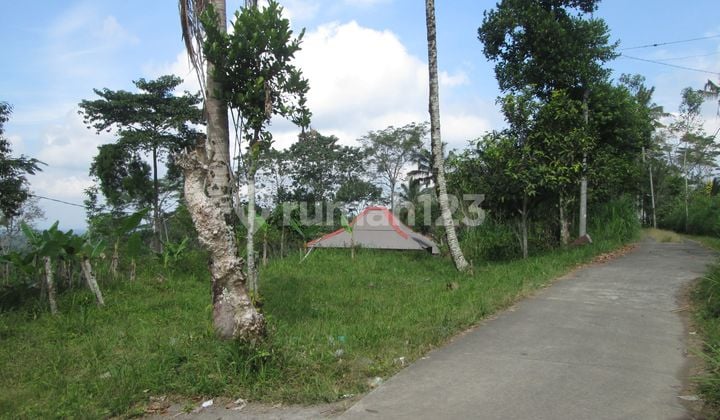 Dijual 1 Bidang Tanah - Kabupaten Gianyar
