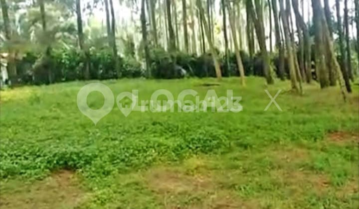 Tanah Kavling Lodaya, Gunung Geulis Sukaraja, Bogor, Jawa Barat