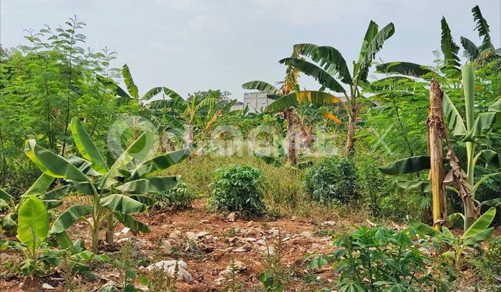 Jambu Kutabaru Land Plot, Pasar Kemis, Tangerang, Banten