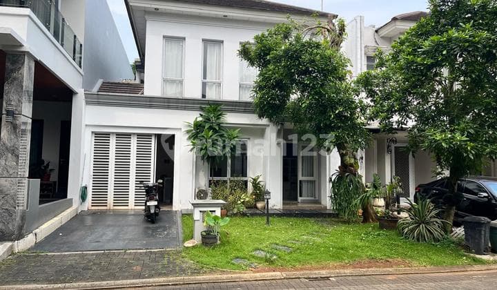 House For Rent Bsd Foresta