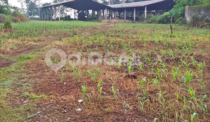 Tanah Kavling Ir Soebagiono Tjodrokusumo Polaman, Mijen, Semarang, Jawa Tengah