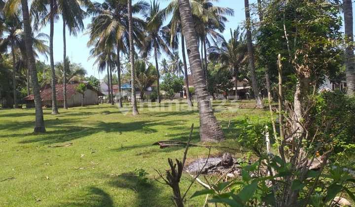 Tanah Kebun Kelapa Aktif Dan Tembus Pantai Di Jembrana