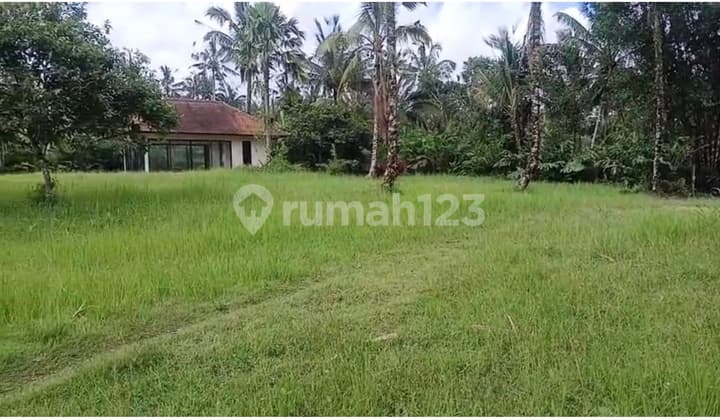 Land in Ubud Riverside Suitable for Hotels and Tourism