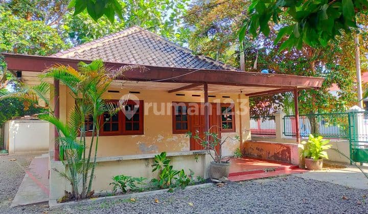 Bonus land with old house in Nusukan, Solo.