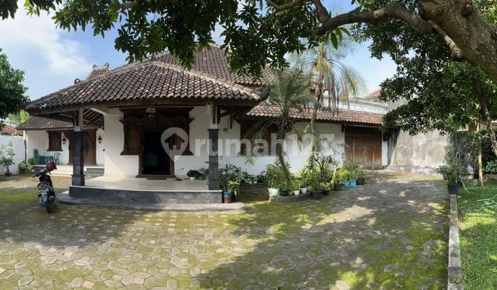 Old/antique Javanese ethnic house furnished, located in the city center near Paragon, Banjarsari - Solo.