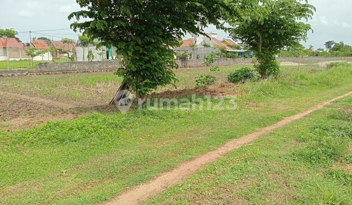 TANAH KAVLING BELAKANG RS NIRMALASURI SUKOHARJO