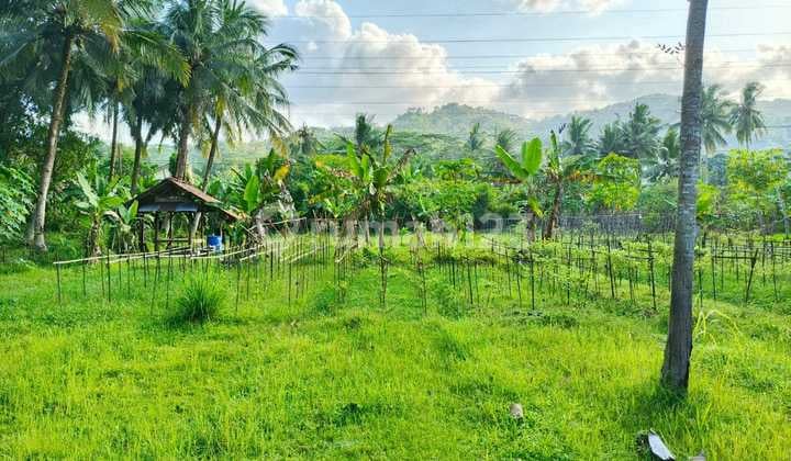 Siap Huni, Rumah, 1 Lantai, SHM, Bebas Banjir