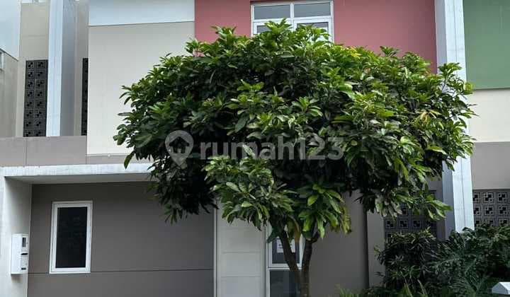 Rumah 2 Lantai Cluster Dayana Disewakan Murah di Summarecon