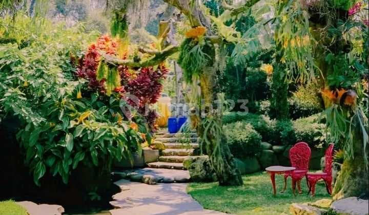 Tanah 2,5 Ha di Setiabudi Mainroad, Cocok Wisata & Komersial