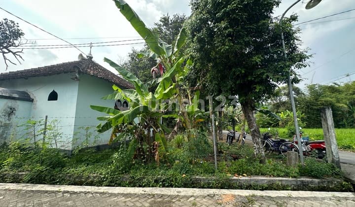 Rumah Joglo Dengan Pemandangan Bukit Dan Sawah Yang Asri Dan Sejuk Di Jogotirto Brebah Jogjakarta