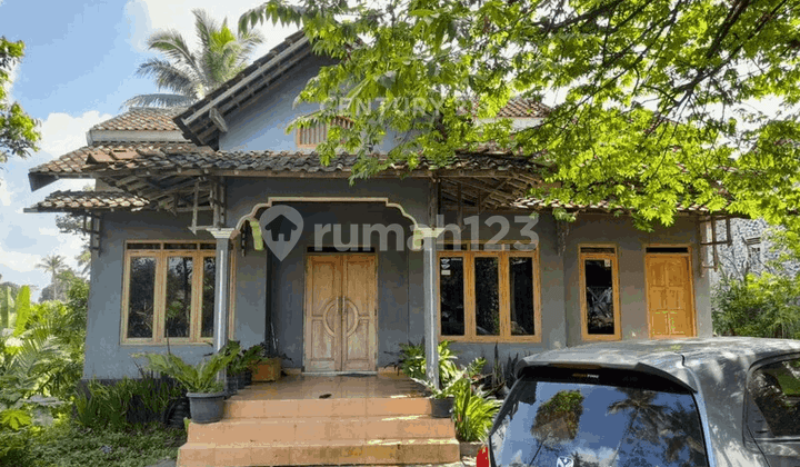 Rumah LT 1294 M2 Di Turi Hanya 300 M Ke Pasar Balerante