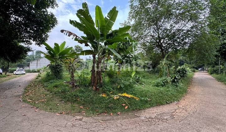 Parung pemagarsari dekat raya parung tanah luas 922 hoek
